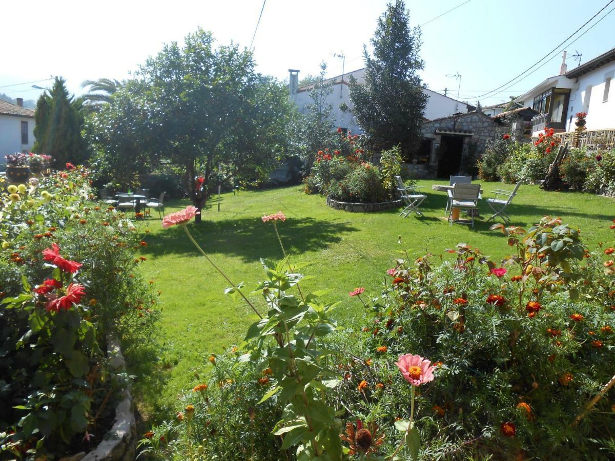Appartement Carolina *